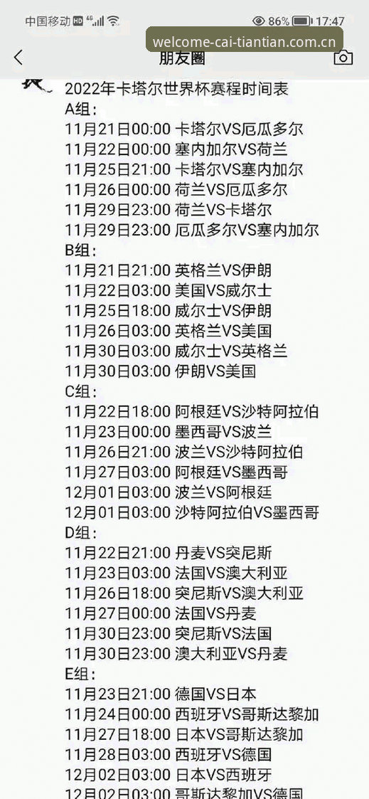 世界杯观赛受阻操作教程：从签证困局到赛事体验的突破路径